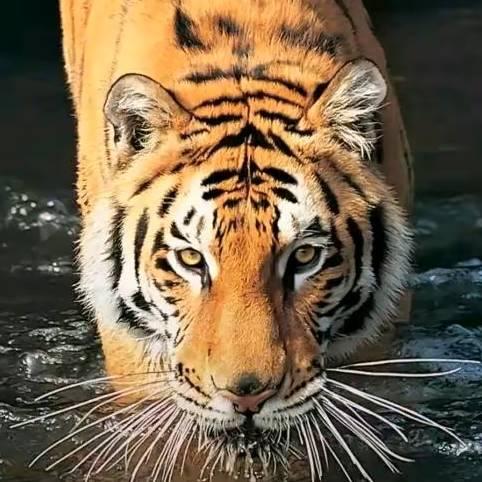 ℒℴѵℯ淺憶໊ོﻬ°