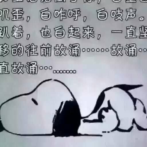 没心没肺，活ei5f