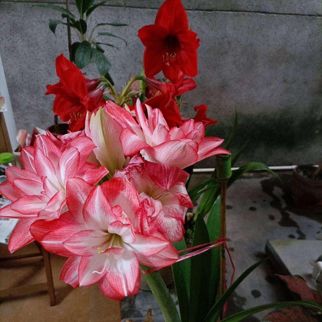 @柔情似水