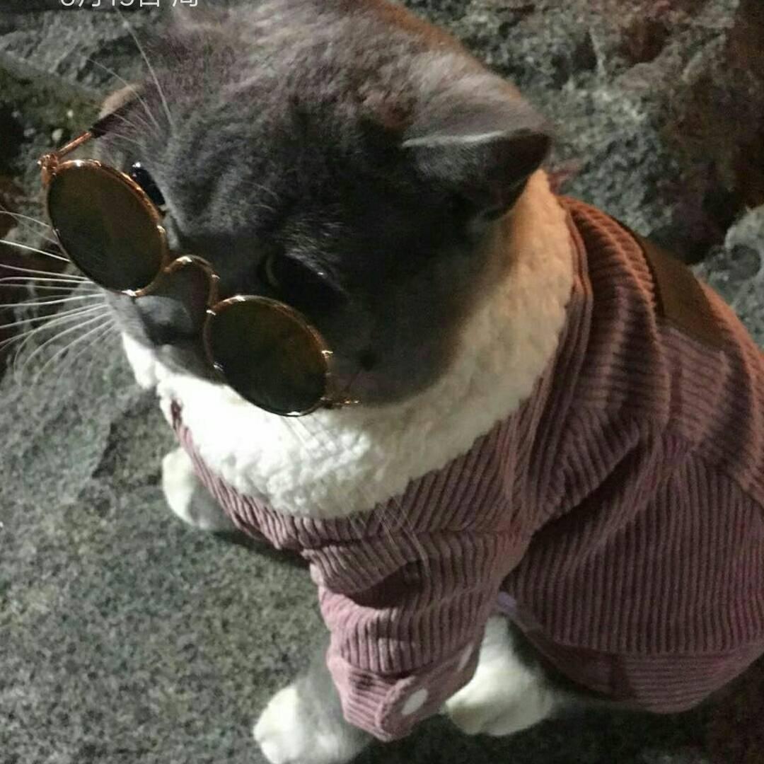 臭臭0516