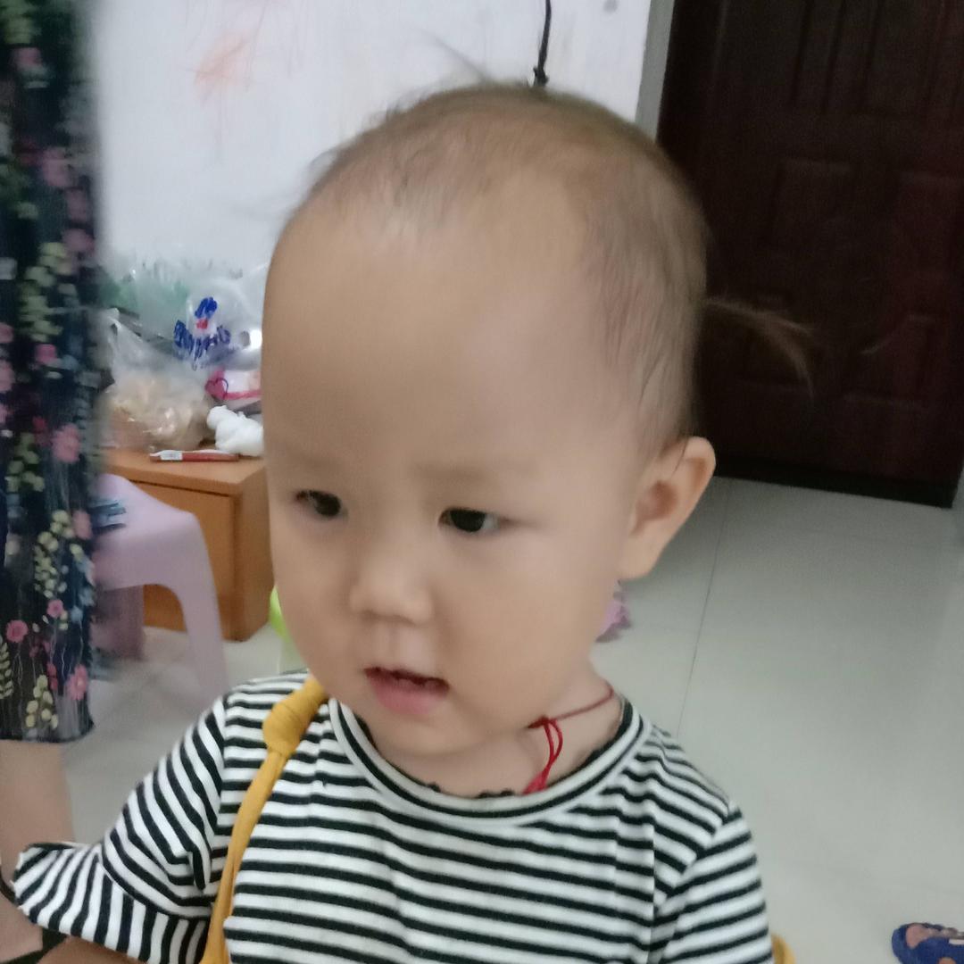 杨建蓉