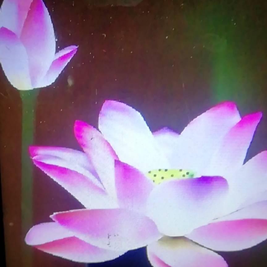 梦想，168