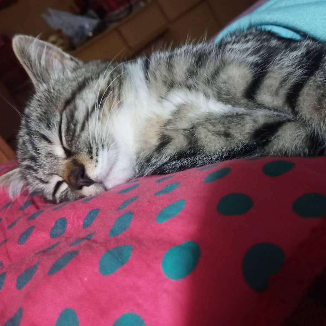 和我一起去看海吗