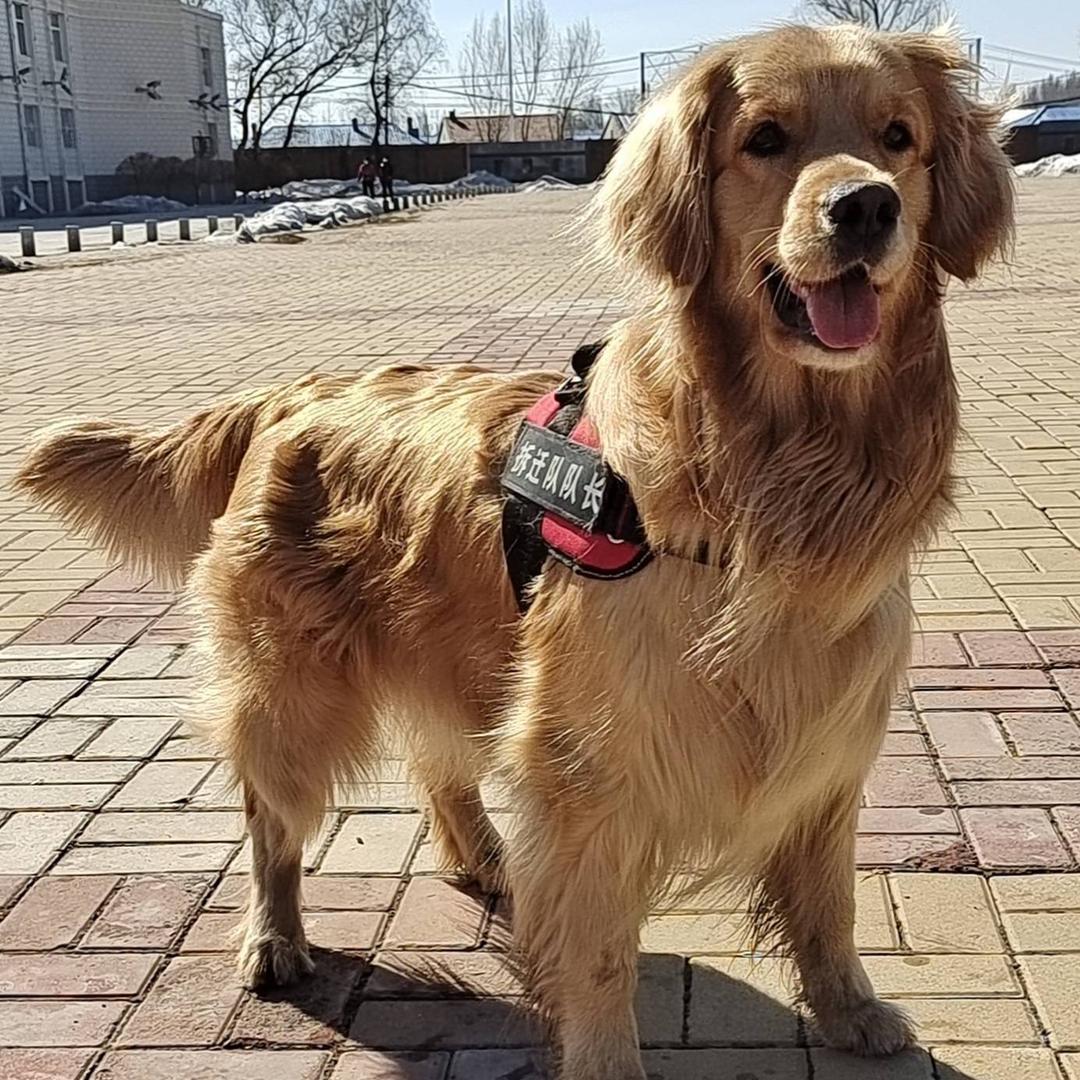 我和小米 点点臭毛孩