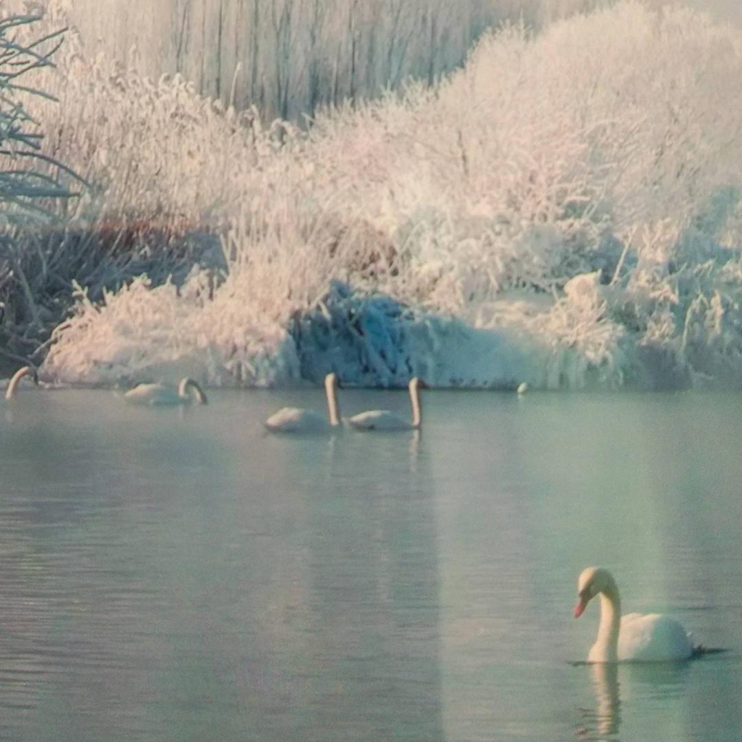 阳光快乐