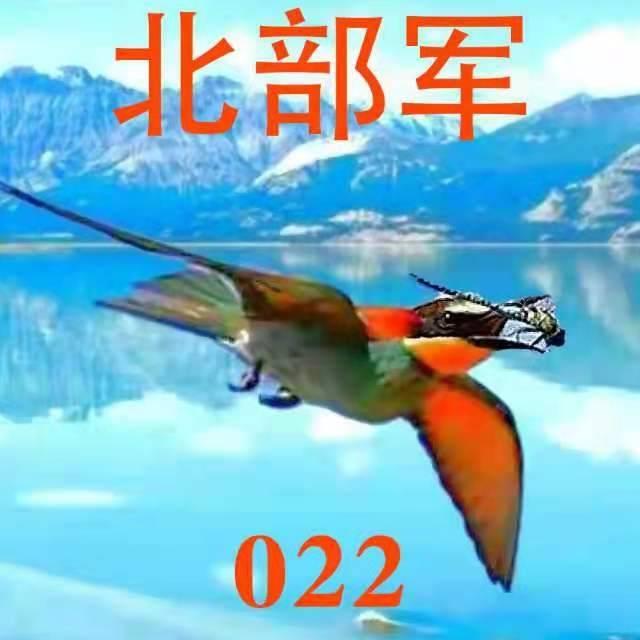 文哥（未来x辽军