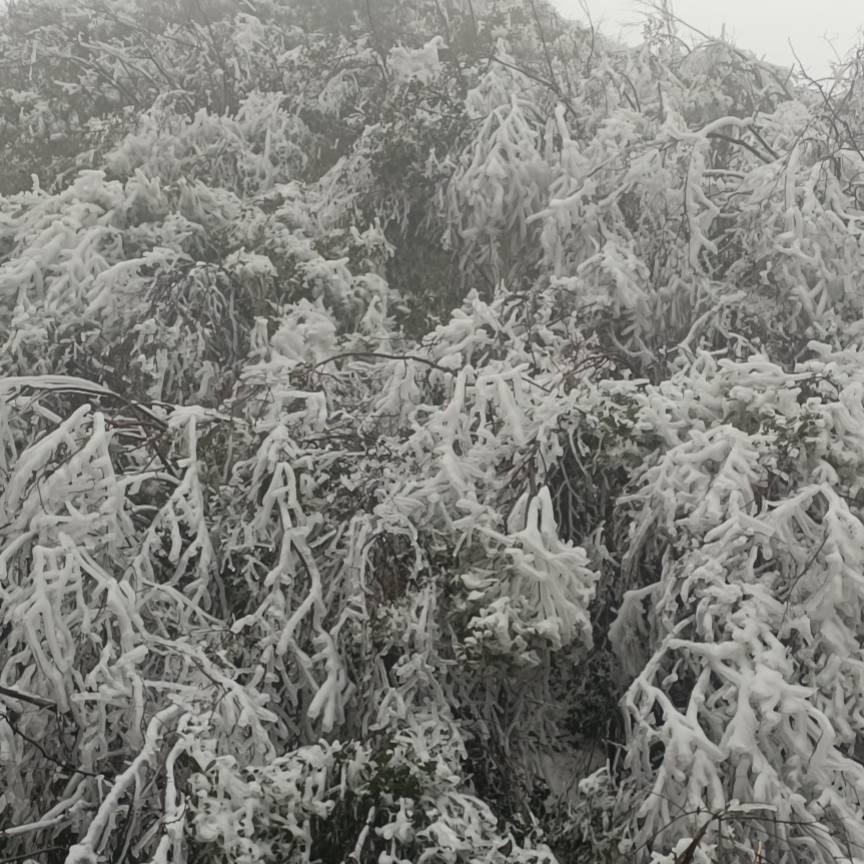 坐在坟头看余生