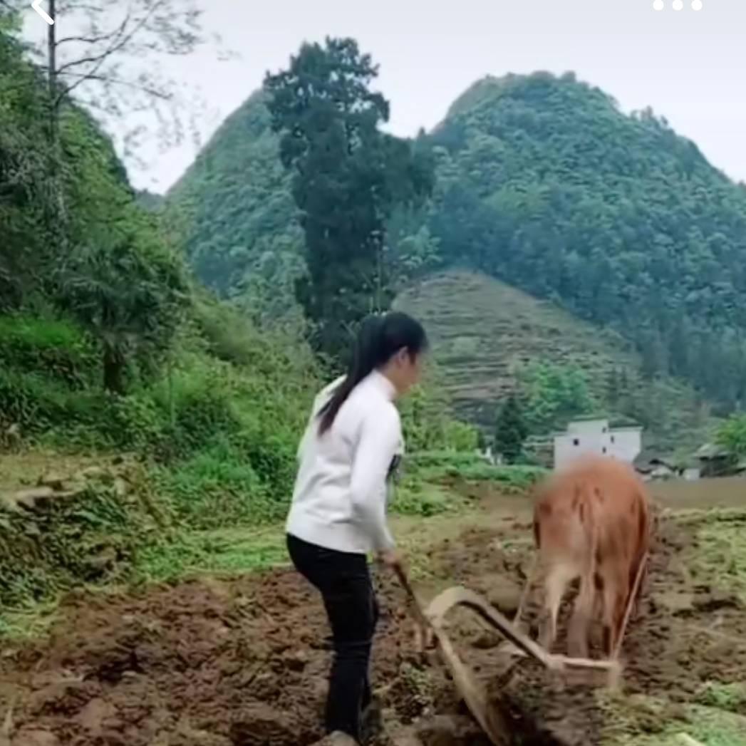 贵州婷儿