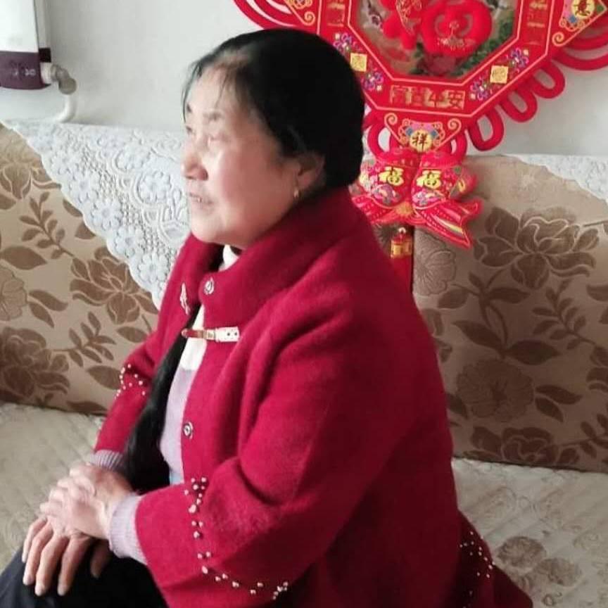 风霜凤洁封天鸾