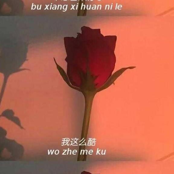 戏迷爱好者