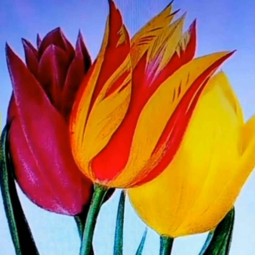5❤快乐每一天❤