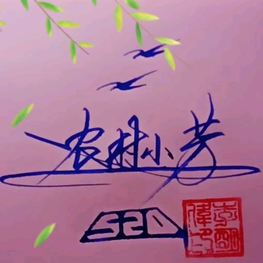 农村小芳