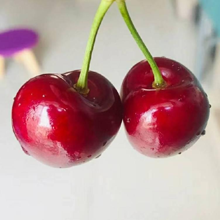 四丁好物
