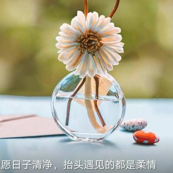 123多多阳阳