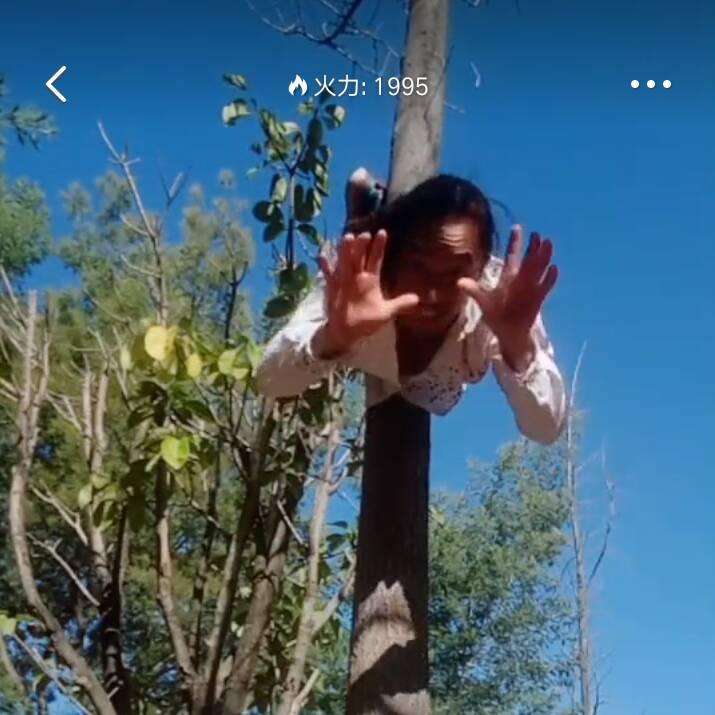 🐺霸气野狼🐺
