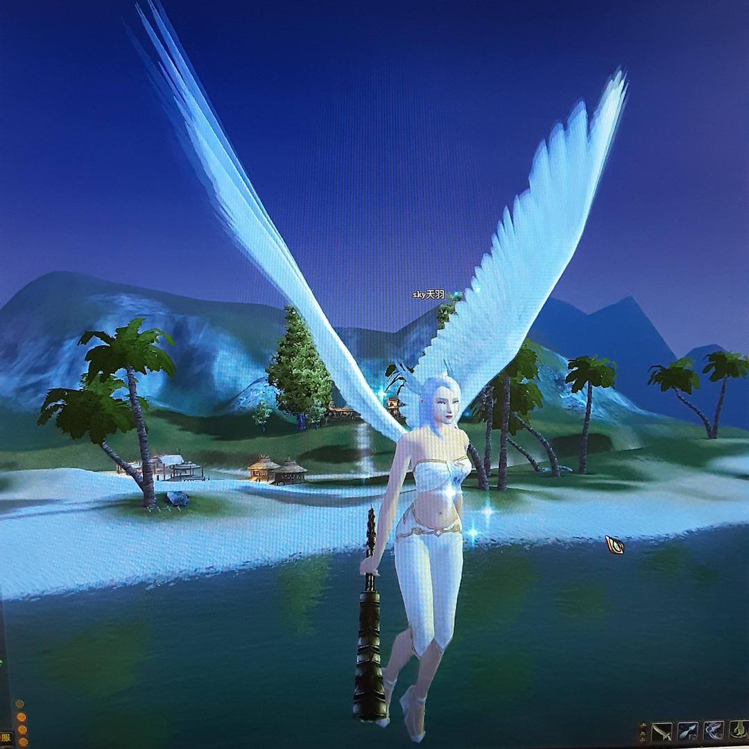 ༺༃⚜快快快艇⚜༃༻