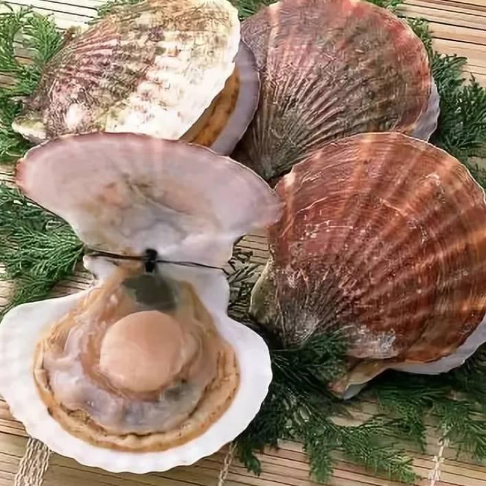 海鲜大咖
