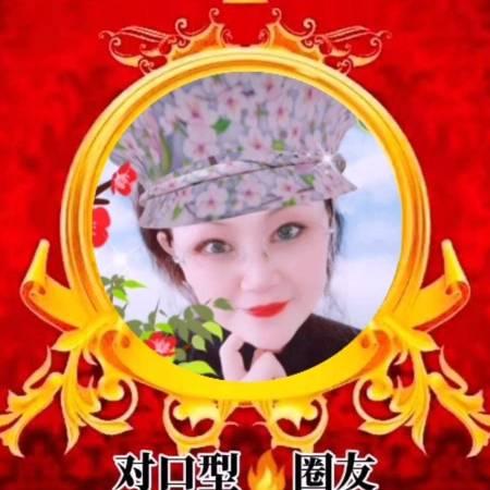 凤飞*