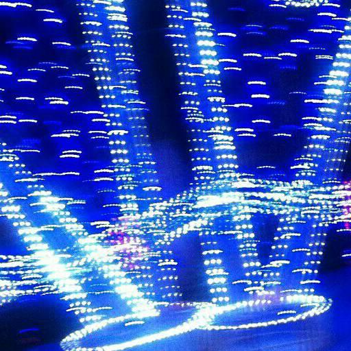 敏王爷🕊🕊🕊