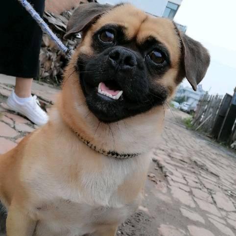 (๑♥心像暖阳♥๑)✈️🎉🎉523