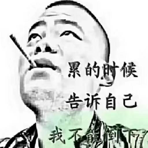 天天好心情