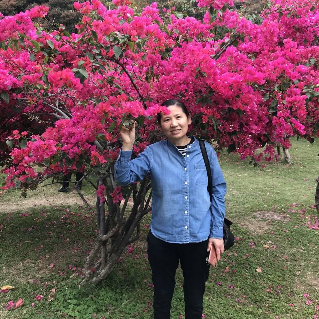 美丽的彩虹桥992