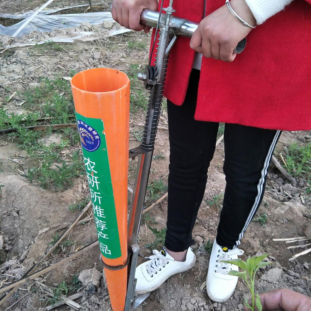 辣椒移栽器