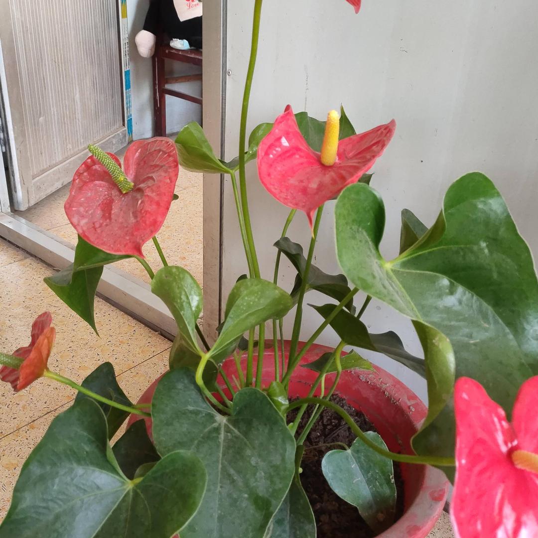 愿你做一个像风一样的