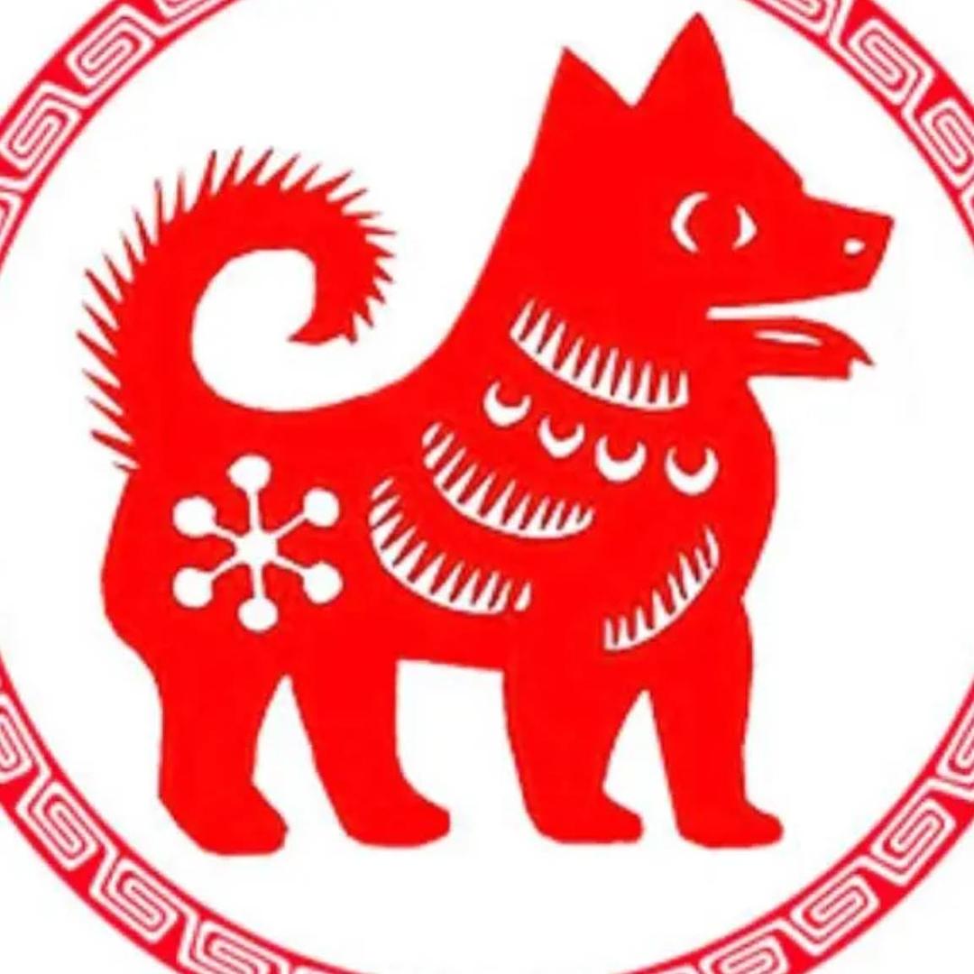 南瓜56236
