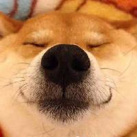 堕天使格斗游戏解说