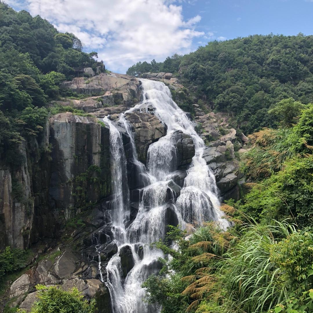 朱朱（柏拉图的永恒）