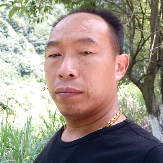 赵氏