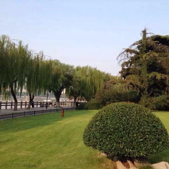 赵庆余