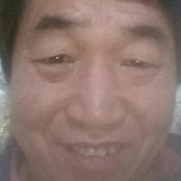 白崖一棵松