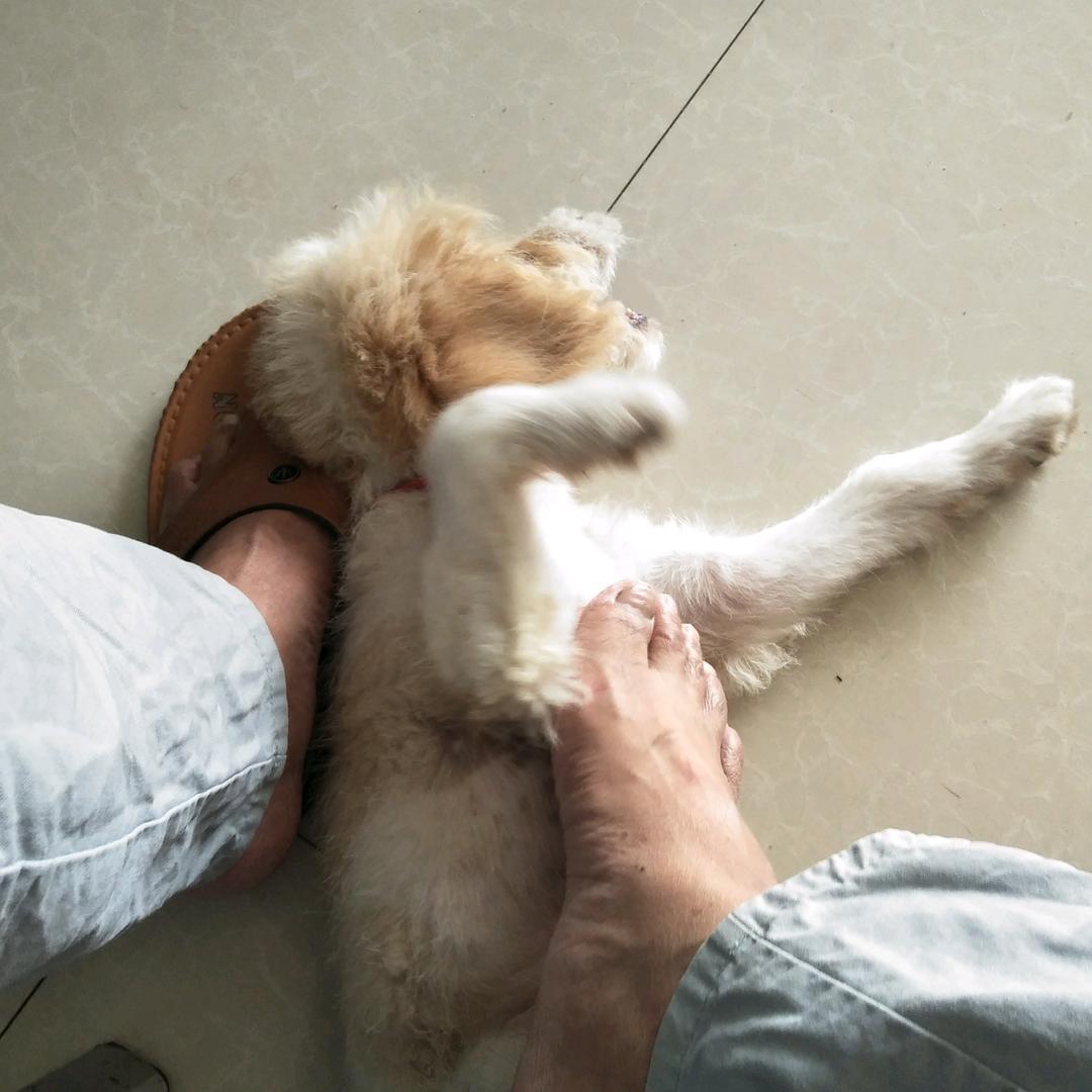 用户5266906874066小光头