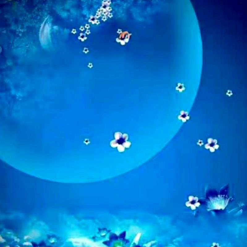 蓝月亮⭐🌙