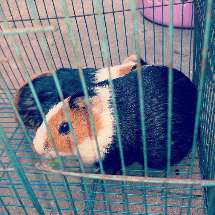 有你真好