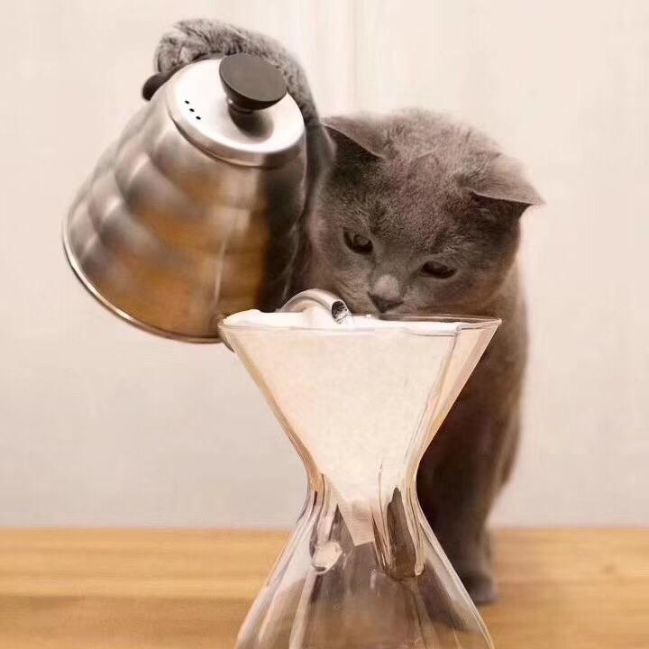家肥猫