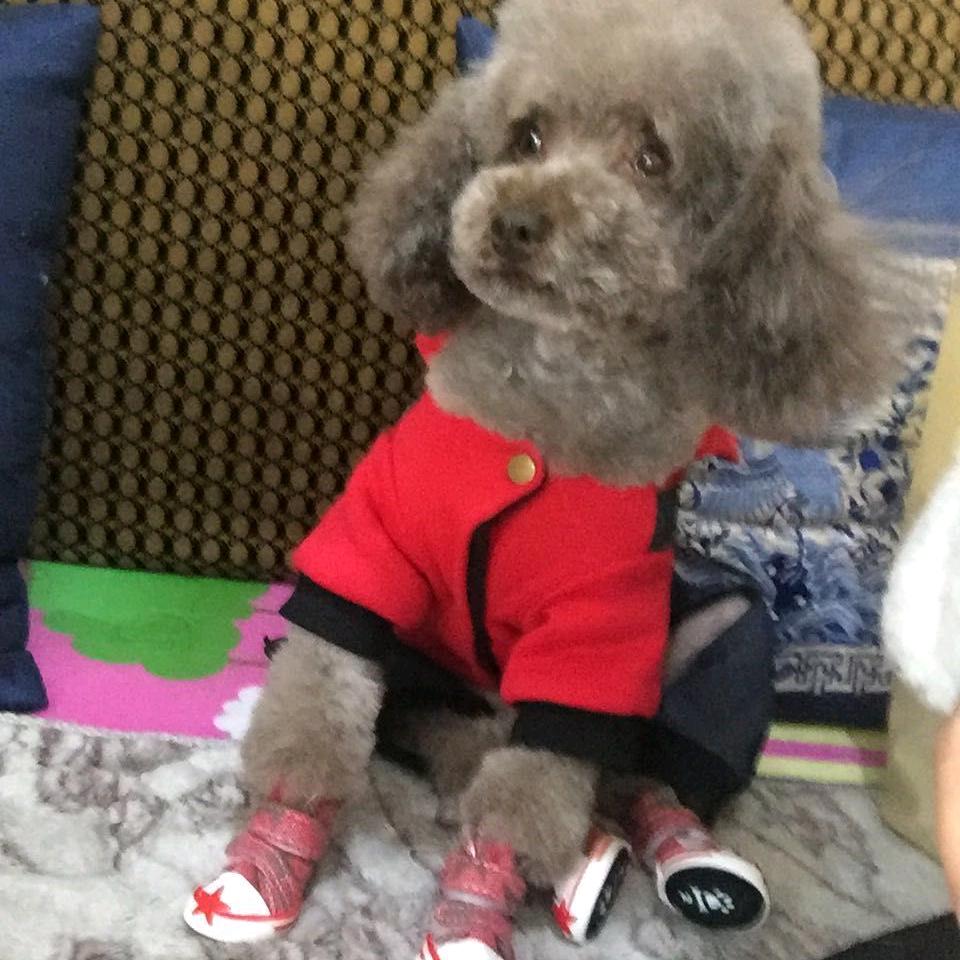 若只如初见'