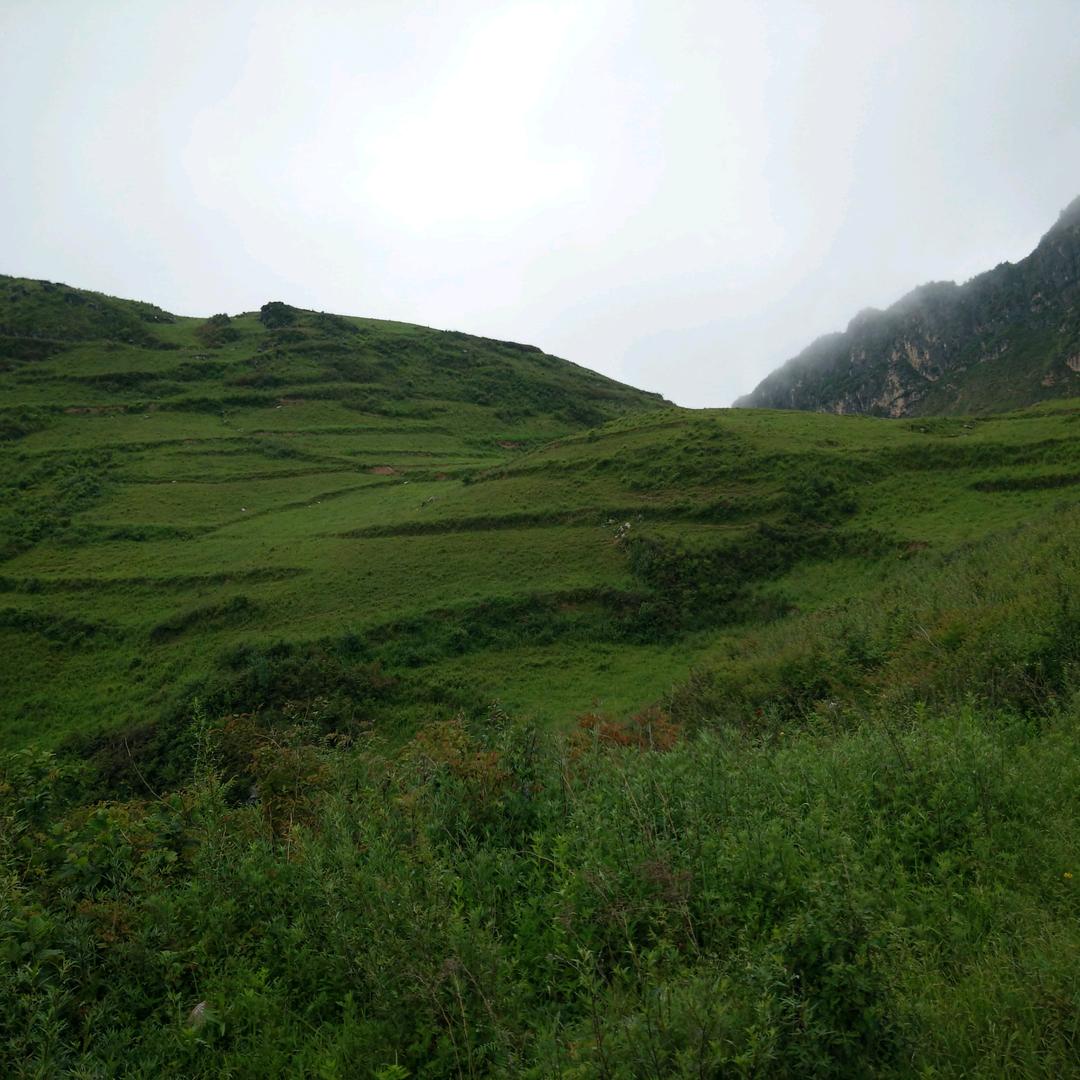 ✺◟(∗❛ัᴗ❛ั∗)◞✺阿辉(❁´◡`