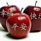 快乐的小绵羊