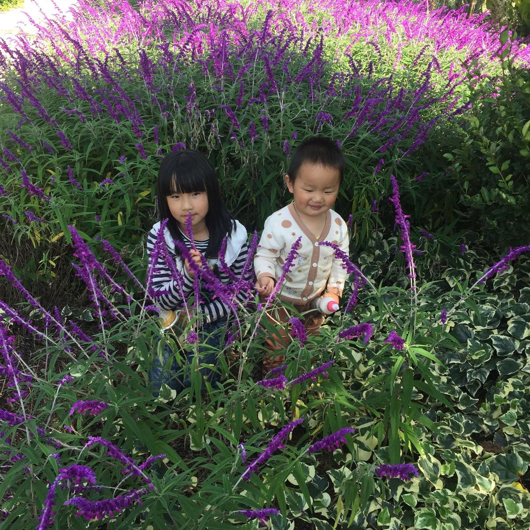 ξηа起煙戒ろ愛⌒