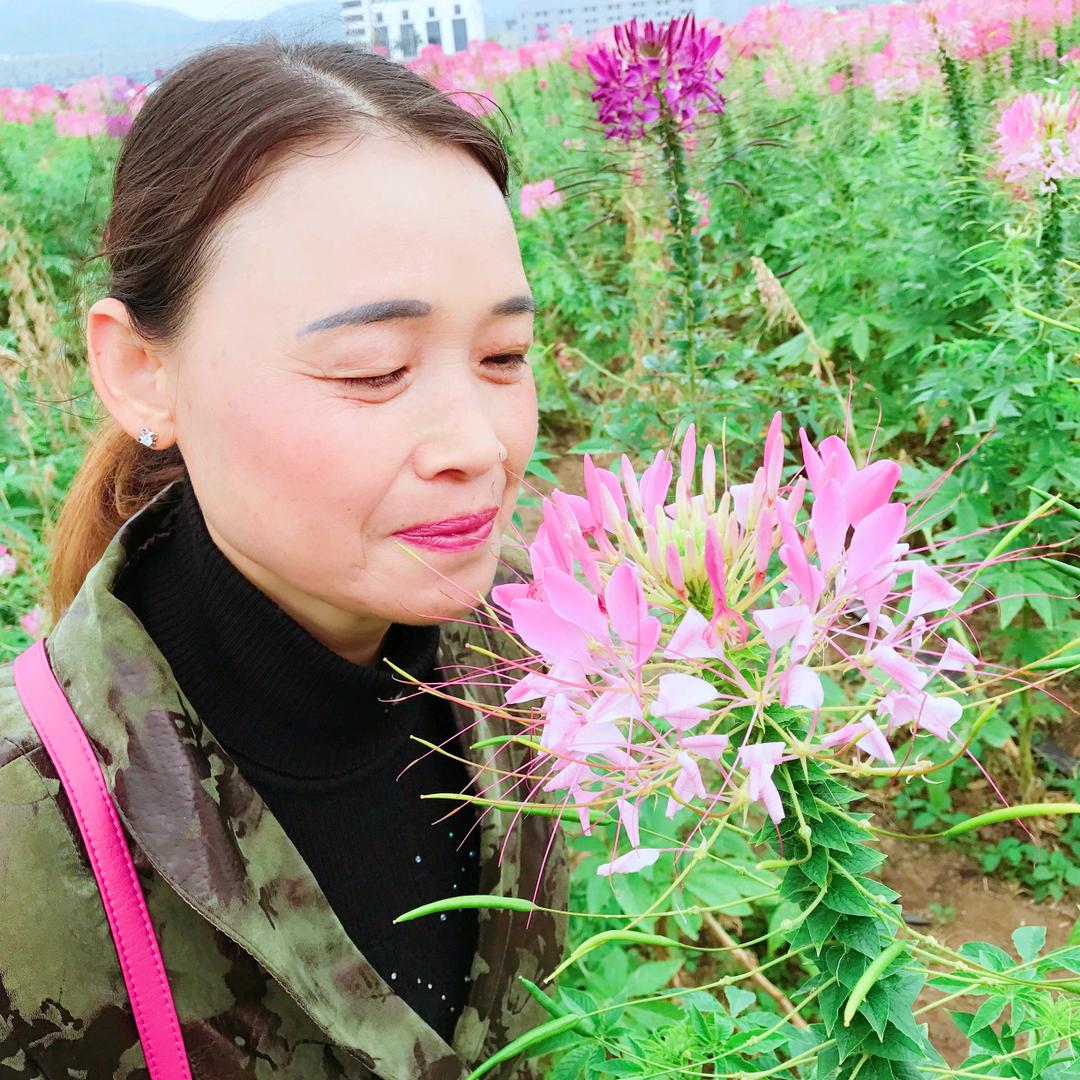 平安扣xy