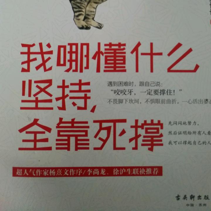 坚持就是胜利（邵）