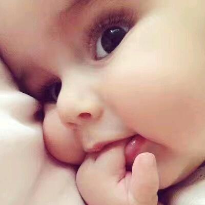 便衣朋友🍓草没喂