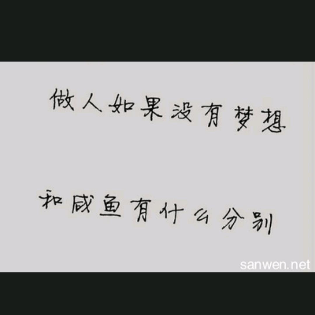 一心向Yang