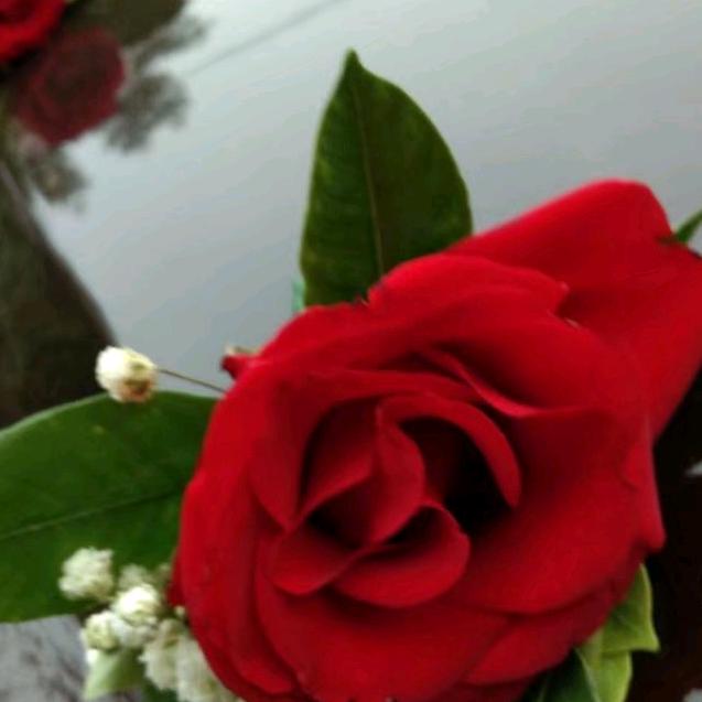 老幺🌹