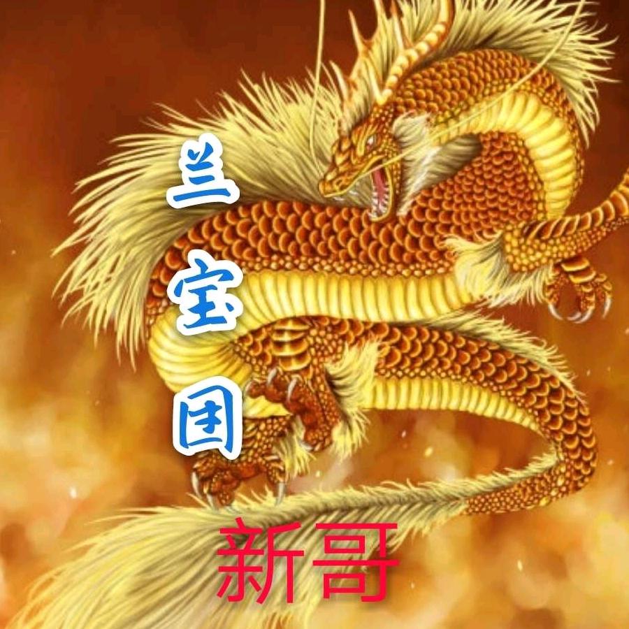 新哥的橱窗