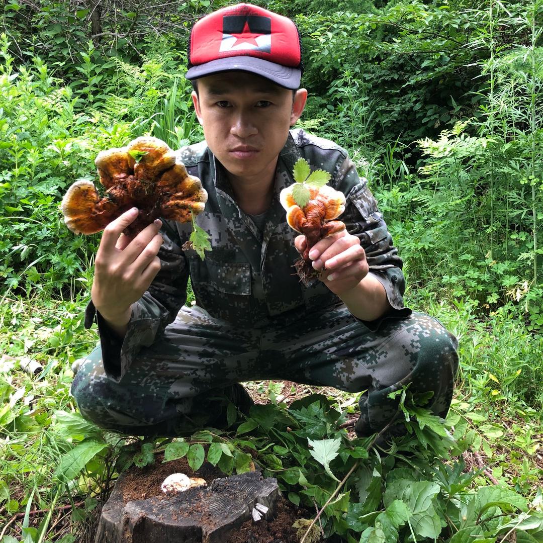 林区小欧