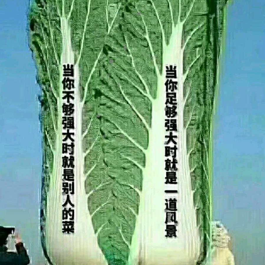琴如梦境
